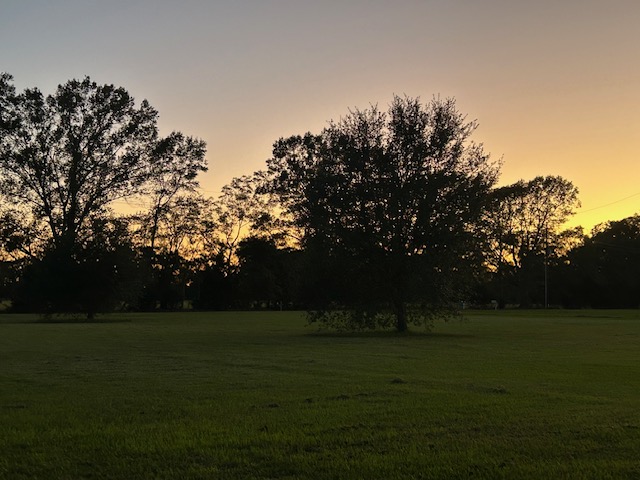 Honoring the Body as God’s Temple